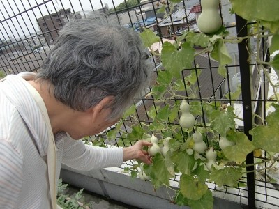 竹の塚明生苑六月 施設イメージ 14