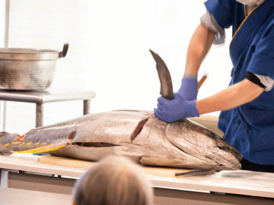 医療法人浩治会　大宮ケアホーム光 お食事イメージ 6