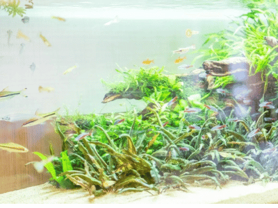 イリーゼ用賀 施設イメージ 15