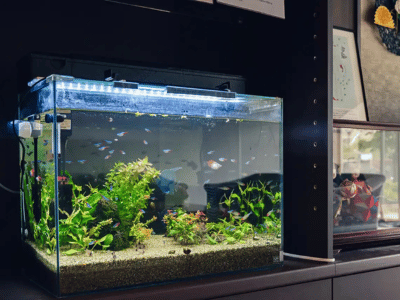 イリーゼ朝霞 施設イメージ 15