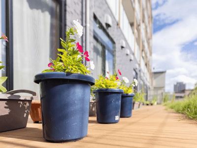 イリーゼ仙台柏木 施設イメージ 14