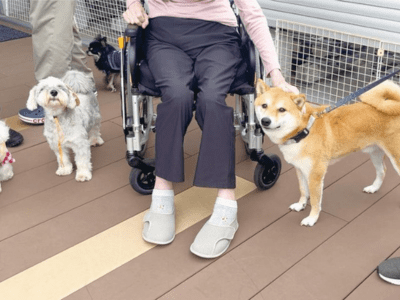 ハートランド・エミシア久我山 施設イメージ 12