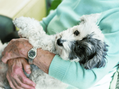 ハートランド・エミシア久我山 施設イメージ 13