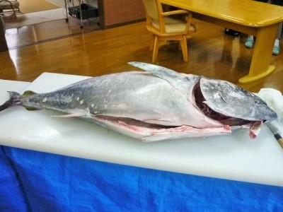 ベストライフ麻生Ⅱ お食事イメージ 10