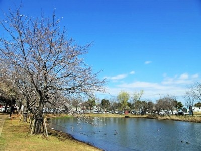 あずみ苑グランデ土浦 施設イメージ 4