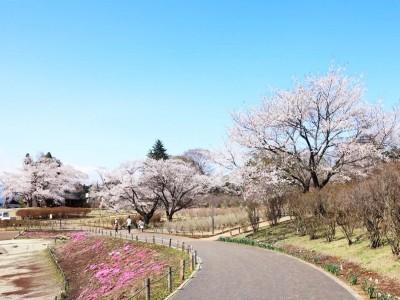 あずみ苑グランデ矢板 施設イメージ 4