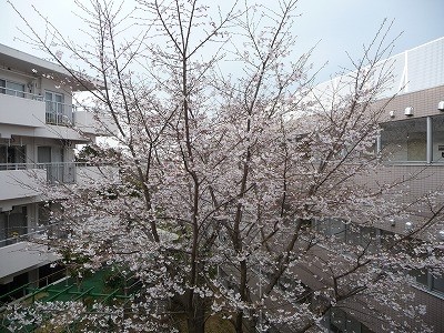 ジョイステージ八王子 施設イメージ 15