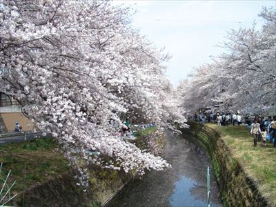 SOMPOケア ラヴィーレ高座渋谷 施設イメージ 15