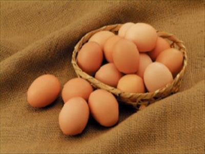 SOMPOケア ラヴィーレ岸和田 お食事イメージ 15