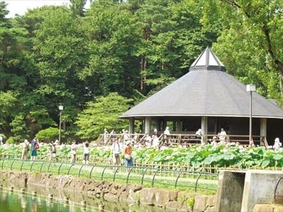 SOMPOケア ラヴィーレみつわ台 施設イメージ 15