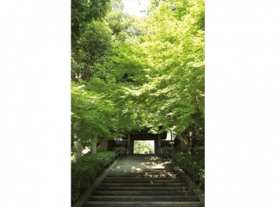 SOMPOケア ラヴィーレ北鎌倉 施設イメージ 15