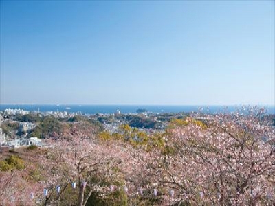 SOMPOケア ラヴィーレ衣笠山公園 施設イメージ 13