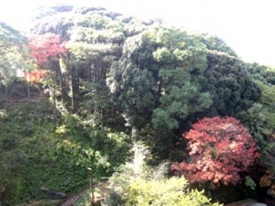 [福岡県]さわやか鳴水館 イメージ3