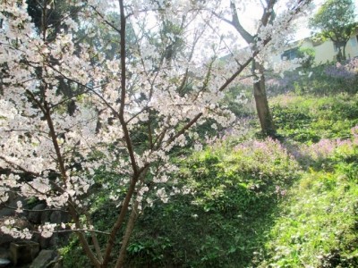 [福岡県]さわやか鳴水館 イメージ2