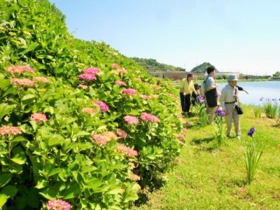 さわやかいずみ館 施設イメージ 3