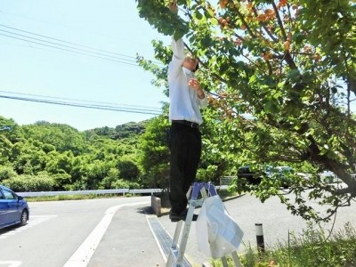 さわやか花美館 施設イメージ 5