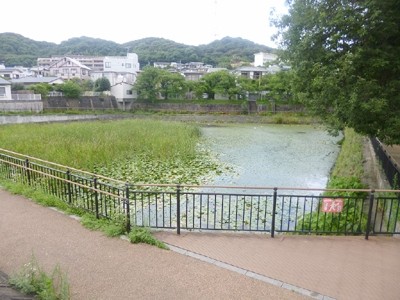 さわやかめぐり館 施設イメージ 1