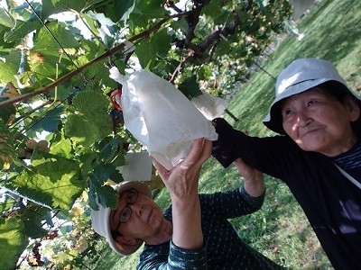 ここいち　龍ヶ崎B棟 施設イメージ 4