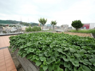 [大阪府]カルデアの家寝屋川 イメージ3