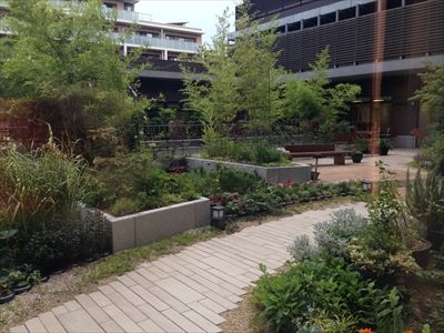 アリスタージュ経堂 施設イメージ 15