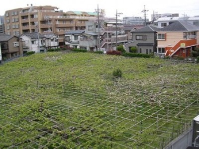 ベストライフ二子新地 施設イメージ 2