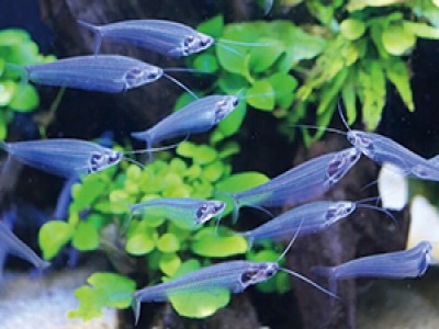 イリーゼ用賀 施設イメージ 15