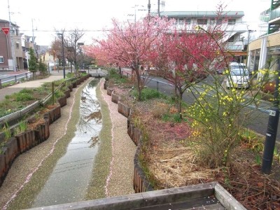 すこや家・川崎明津 施設イメージ 6