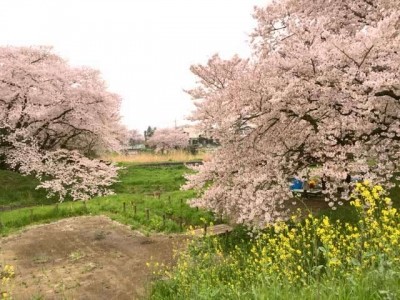 みんなの家・三橋４丁目 施設イメージ 15