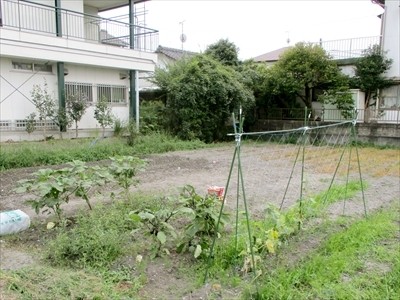 [静岡県]愛の家グループホーム 藤枝高柳 イメージ3