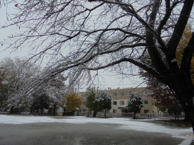 ニチイケアセンター坂戸緑町 施設イメージ 15
