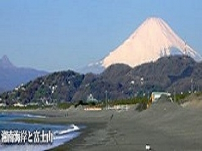 湘南ふれあいの園　平塚 施設イメージ 5