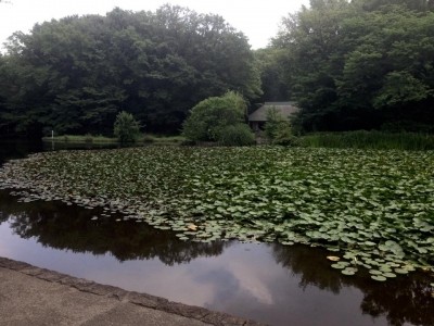 ゆうらいふ横浜 施設イメージ 15