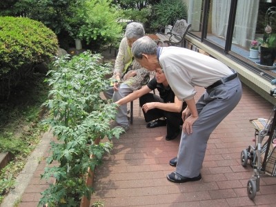 ウェルハイム・東京 施設イメージ 15