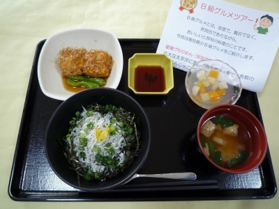 蓮田オークプラザ「介護館」 お食事イメージ 8