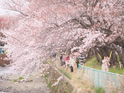 カーサプラチナ大和 施設イメージ 15