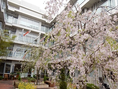 東京都 大田区フェリオ多摩川