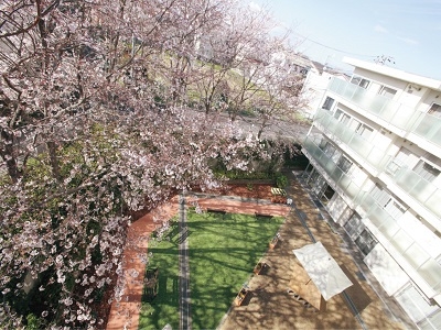 東京都 世田谷区フェリオ成城