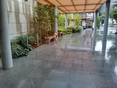 ウェルケアガーデン深沢 施設イメージ 15