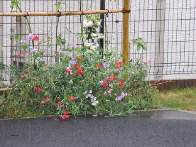 ご長寿くらぶ　千葉・花園 施設イメージ 4