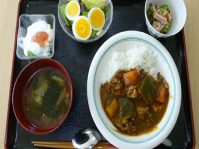 さわやかさがみはら館 お食事イメージ 1