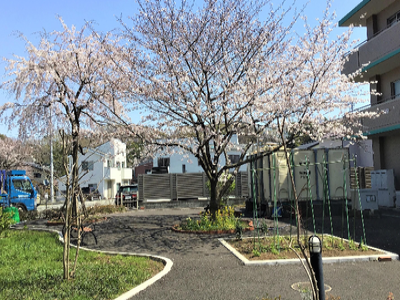 エスペランサ相模原 施設イメージ 12