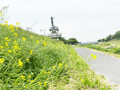 ウールズ運河 施設イメージ 8