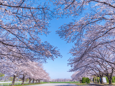 ブランシエール大宮公園（介護館） 施設イメージ 6