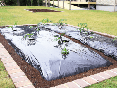 エスペランサ伊豆高原 施設イメージ 5