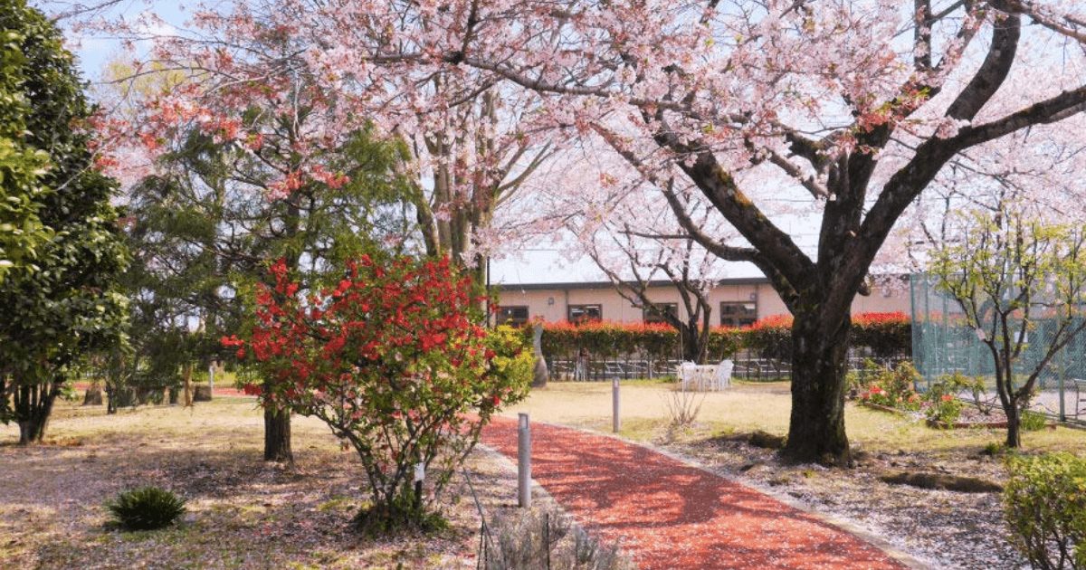 アメニティーライフ八王子　中庭