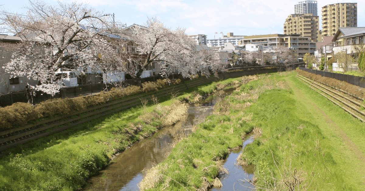 サン・ラポール調布　周辺環境