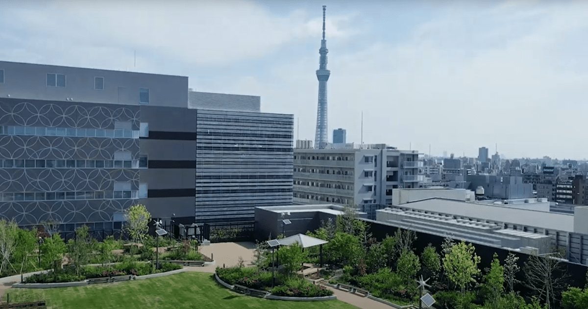 ブランシエール蔵前 屋上庭園からの眺望