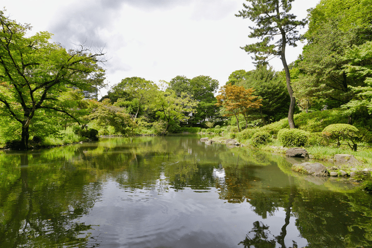 近隣には有栖川宮記念公園もあり