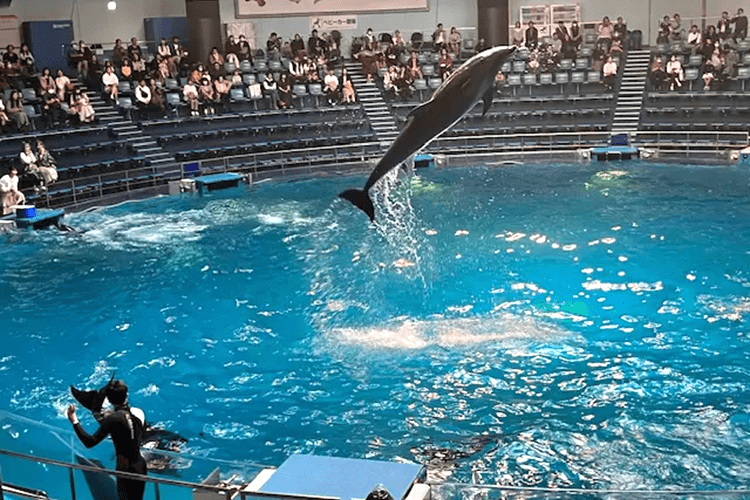 多彩な行事で充実のシニアライフを