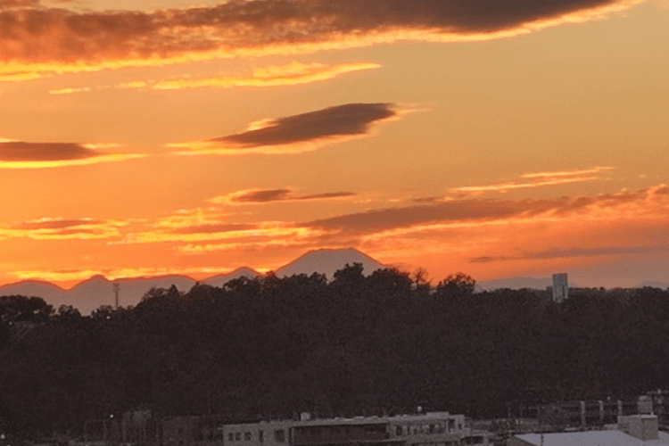 自然に寄り添い暮らしやすさが整う登戸の地